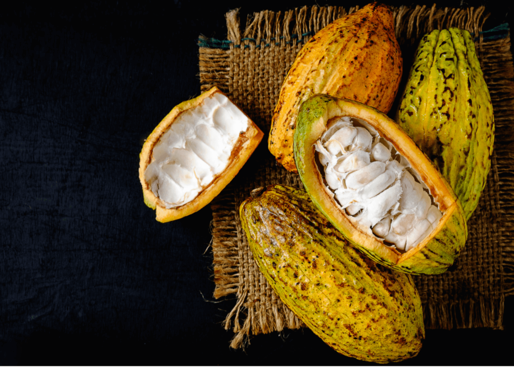 Fresh cacao pods on burlap showcasing ceremonial cacao used in Soma products.