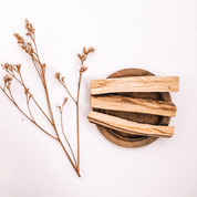 Wild-Harvested Sustainable Palo Santo